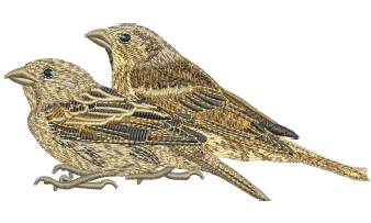 Sparrow Pair Embroidery Design (3 Sizes) — machine embroidery design