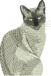 Cute Cat Embroidery Design — machine embroidery design