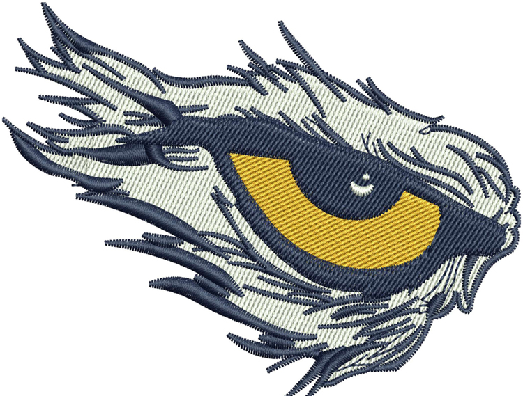 Eagle Eye Embroidery — machine embroidery design