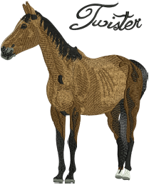 Spirit Embroidery Design — machine embroidery design