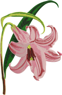 Pink Flower Embroidery Design — machine embroidery design