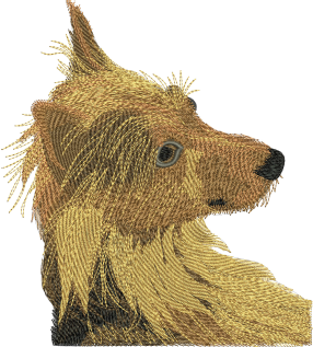 Realistic Golden Retriever Design (3 sizes) — machine embroidery design