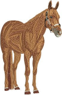 Realistic Horse Embroidery Design — machine embroidery design