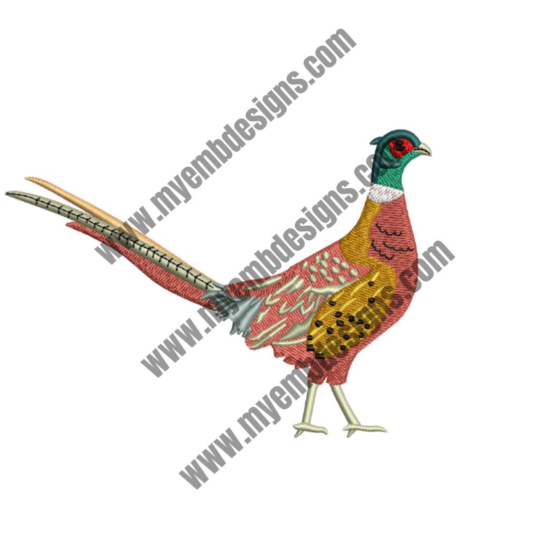 Ring-necked Pheasant Embroidery Design (2 sizes) — machine embroidery design
