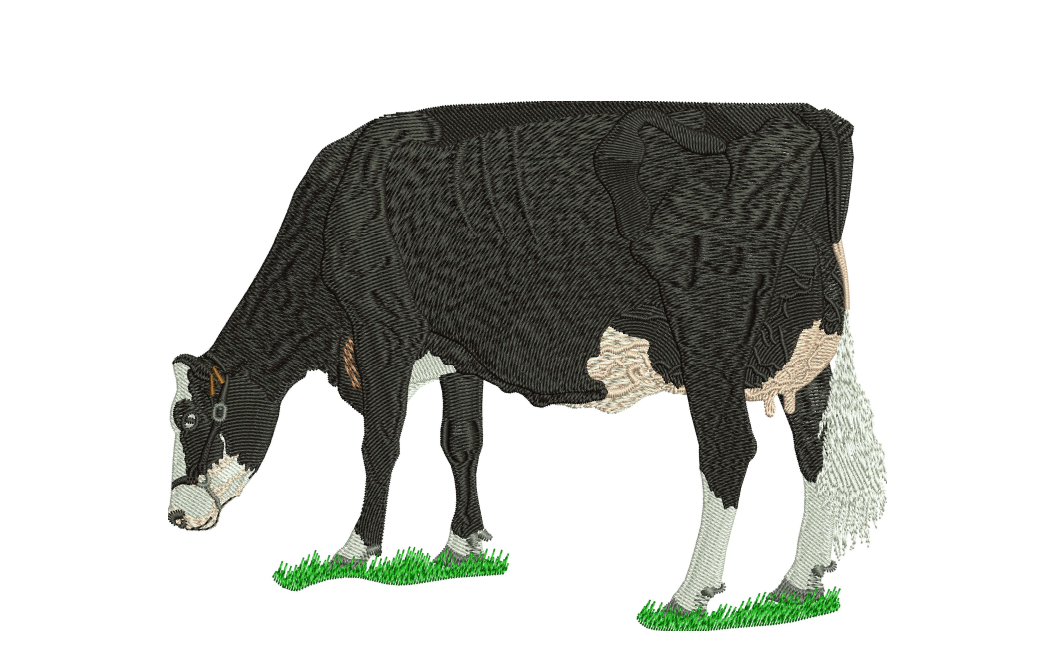Black Cow Embroidery Designs — machine embroidery design