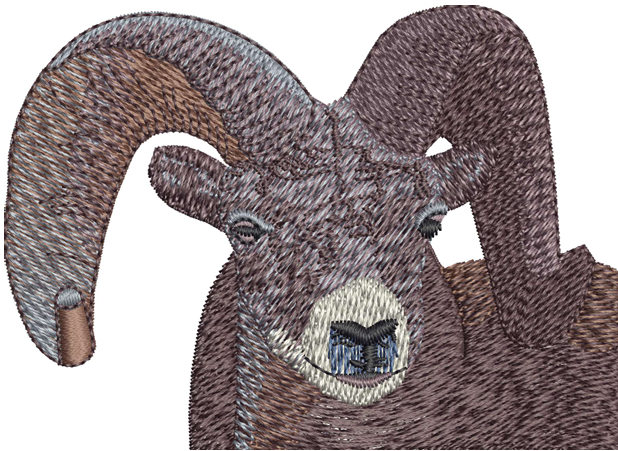 Buck Embroidery Designs — machine embroidery design