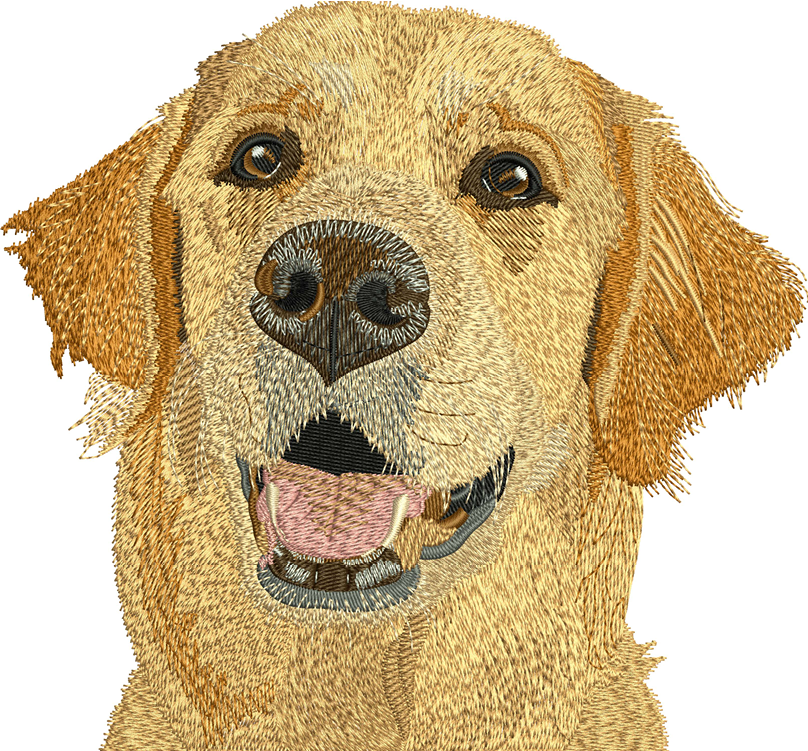 Golden Retriever Embroidery Designs